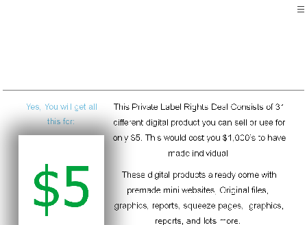 cheap Private Label Rights Mega Bundle Deal