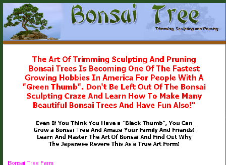 cheap Bonsai Trees