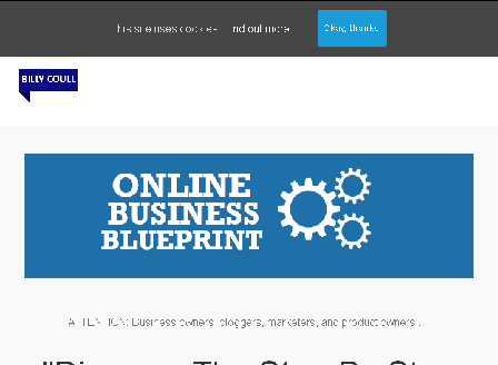 cheap Online Business Blueprint 