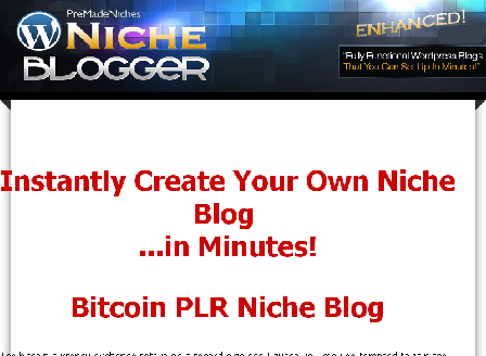 cheap Bitcoin PLR Niche Blog