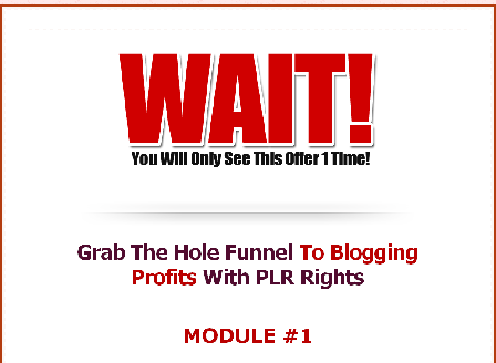 cheap Blogging Profits Funnel OTO