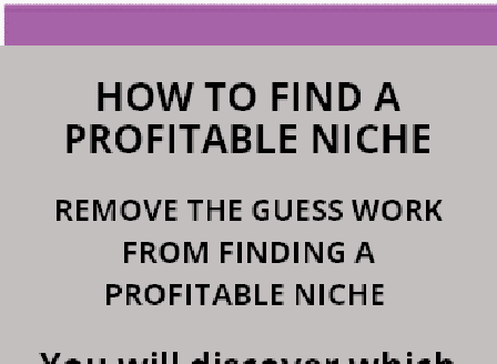 cheap How To Find  A Profitable Niche