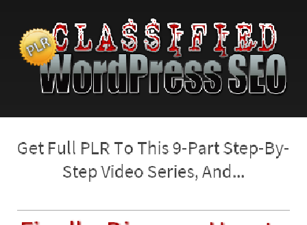 cheap Classified WordPress SEO - PLR Videos