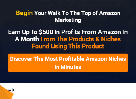 cheap Earn up to $500/month from Amazon from these 25 ready made niche websites