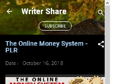 cheap The Online Money System - PLR