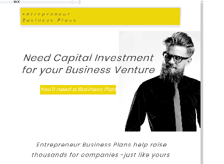 cheap Entrepreneurs Capital Raising Financial Business Plan