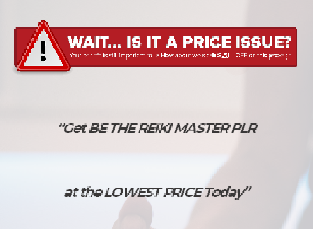 cheap Be The Reiki Master PLR DS 1