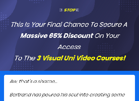 cheap Visual University - 3 Courses