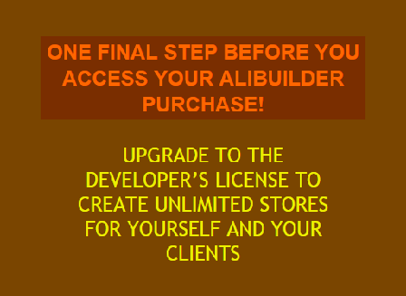 cheap AliBuilder Developer License