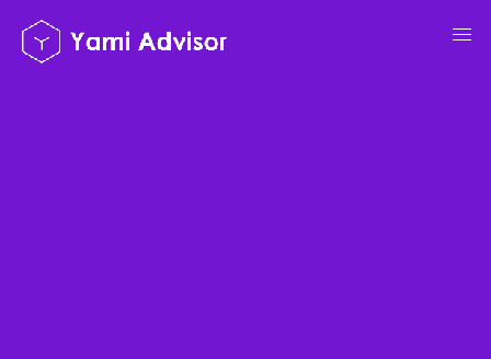 cheap Yami Advisor Software