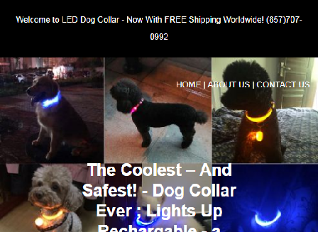 cheap LED / Light Up Dog Collar