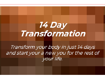 cheap 14-Day Transformation On-Demand Video Course