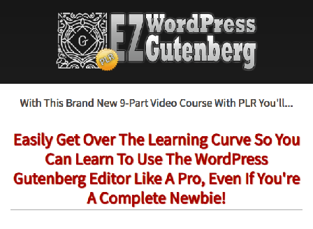 cheap EZ WordPress Gutenberg - PLR Videos
