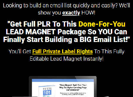 cheap PLR Lead Magnet - Split Testing 101