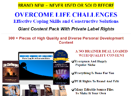 cheap [Quality PLR] Overcome Common Life Challenges 275 + Pieces Of Content