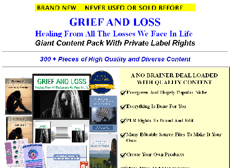 cheap [Quality PLR] GRIEF AND LOSS