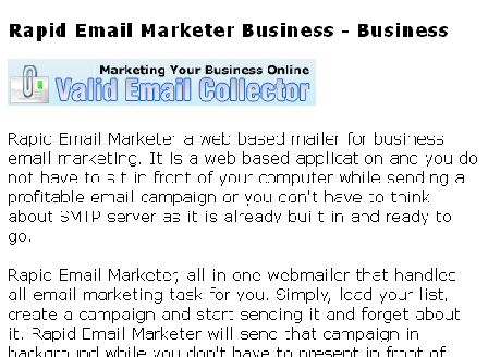 cheap Rapid Email Marketer - Business Edition
