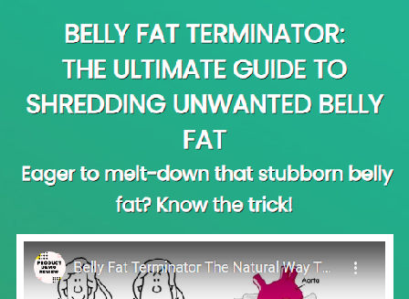 cheap Belly Fat Terminator