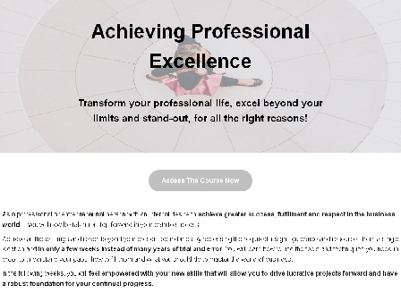 cheap Achieving Professional Excellence