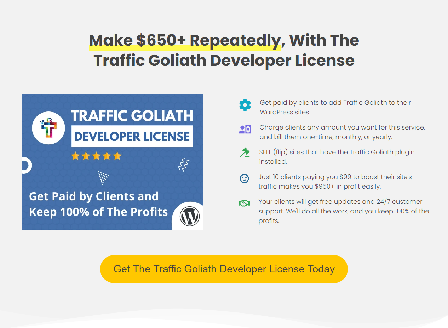 cheap Traffic Goliath Single-Site Developer License