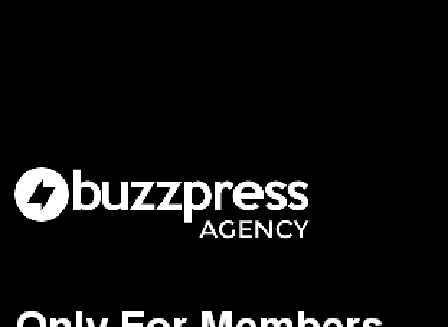 cheap BuzzPress Agency