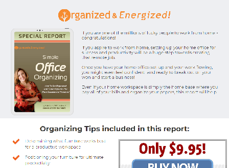 cheap Simple Office Organizing Report