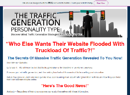 cheap The Traffic Generation Personality Type