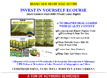 cheap [Quality Giant PLR] eCourse: Invest In Yourself