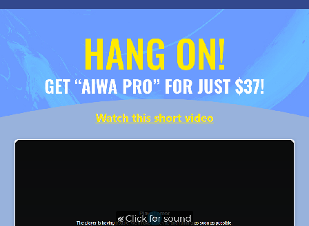 cheap AIWA Professional-Lite