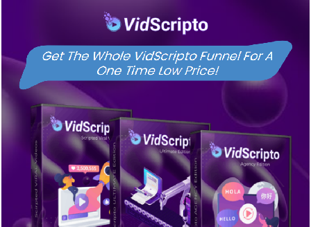 cheap VidScripto Webinar Special