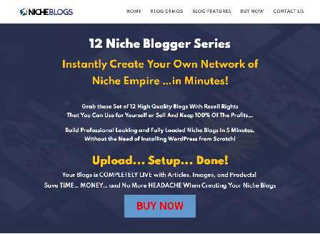 cheap 12-Money Making Niche Blogs