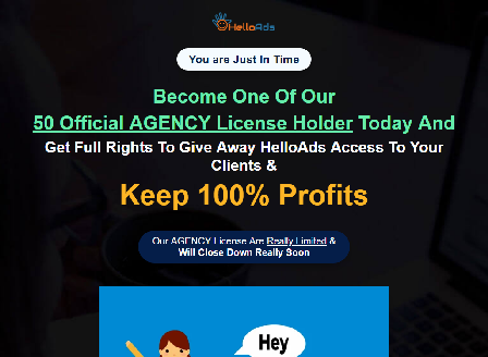 cheap HelloAds Developer 300 licenses