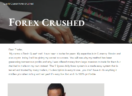 cheap 5 FIGURE DAILY FOREX SYSTEM