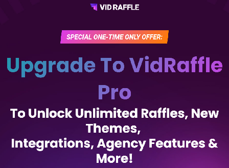 cheap VidRaffle Pro