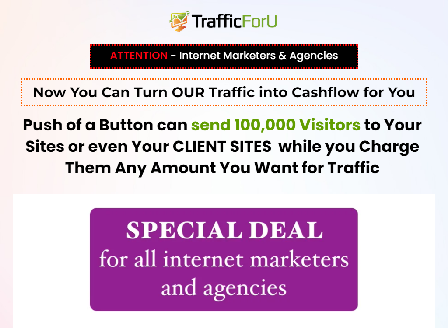 cheap TrafficForU.com Agency 100K
