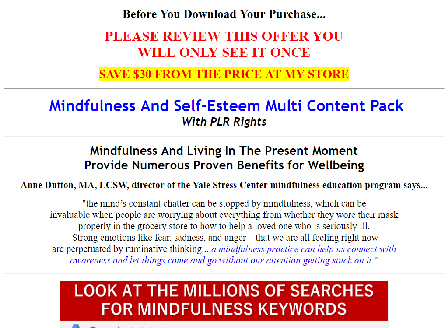 cheap [Quality PLR] Giant Mindfulness & Self-Esteem PLR Bundle