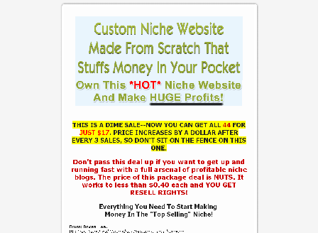 cheap 44 Premium Niche Blog Package