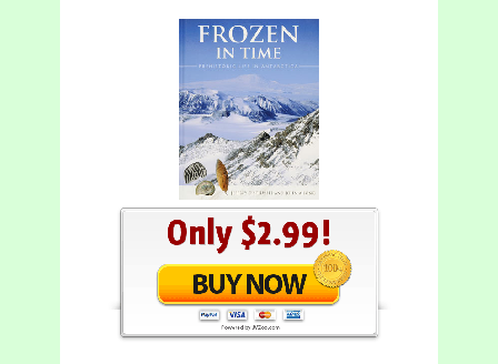 cheap Frozen in time