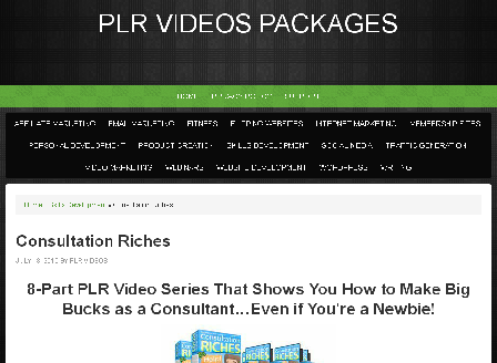cheap Consultant PLR Videos