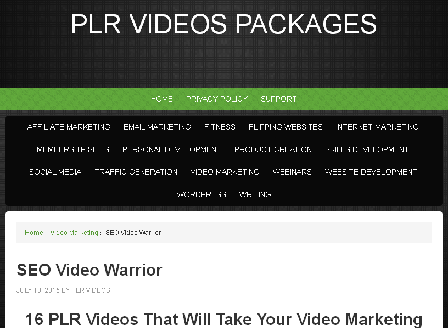 cheap Video Marketing PLR Videos