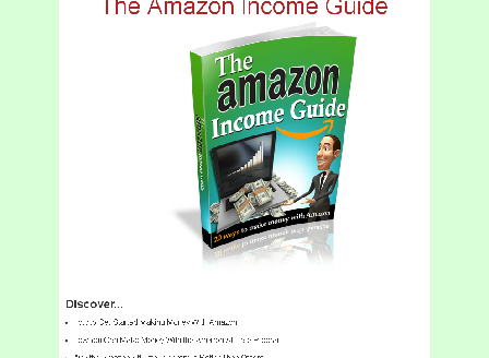 cheap The Amazon Income Guide