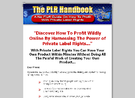 cheap The PLR Handbook