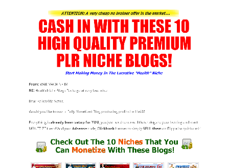 cheap 10 Premium PLR Niche Blog
