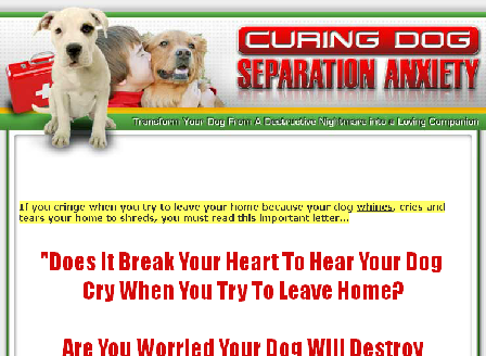 cheap Curing Dog Separation Anxiety