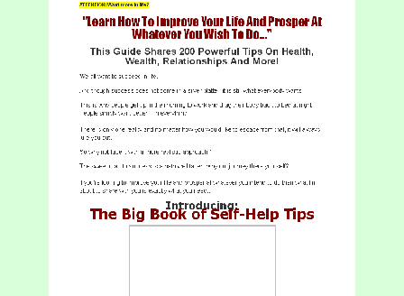cheap The Big Book of Self-Help Tips
