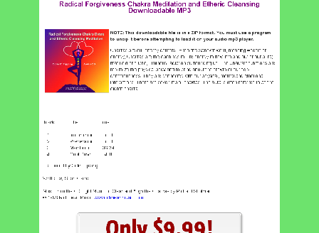 cheap Radical Forgiveness Chakra Meditation and Etheric Cleansing Downloadable MP3