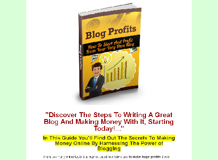 cheap Blog Profits Guide
