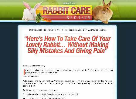 cheap How To Care for Your Rabbit
